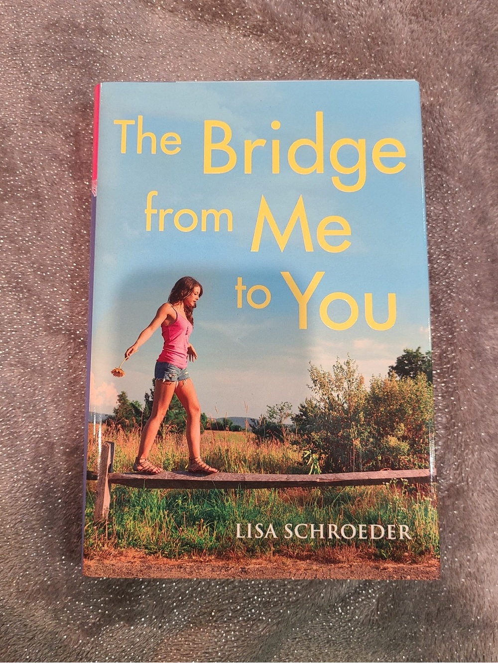 The Bridge from Me to You by Lisa Schroeder Book